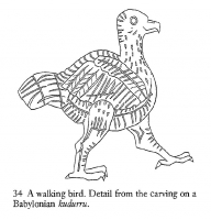 walking-bird-depiction